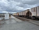 CSXT 251938